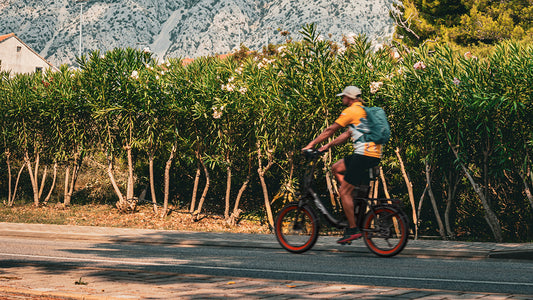 The Fat-Tire E-Bike's Ultimate Stability: The Perfect Companion for Sand, Snow, and Rough Terrain