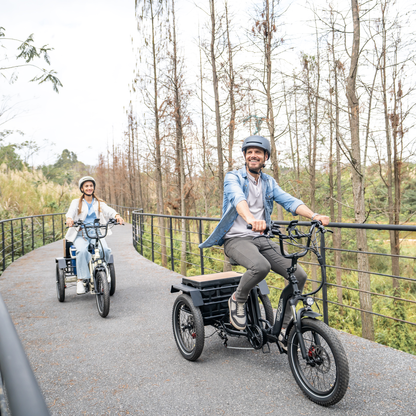 Onesport OT30 Pro E-Trike