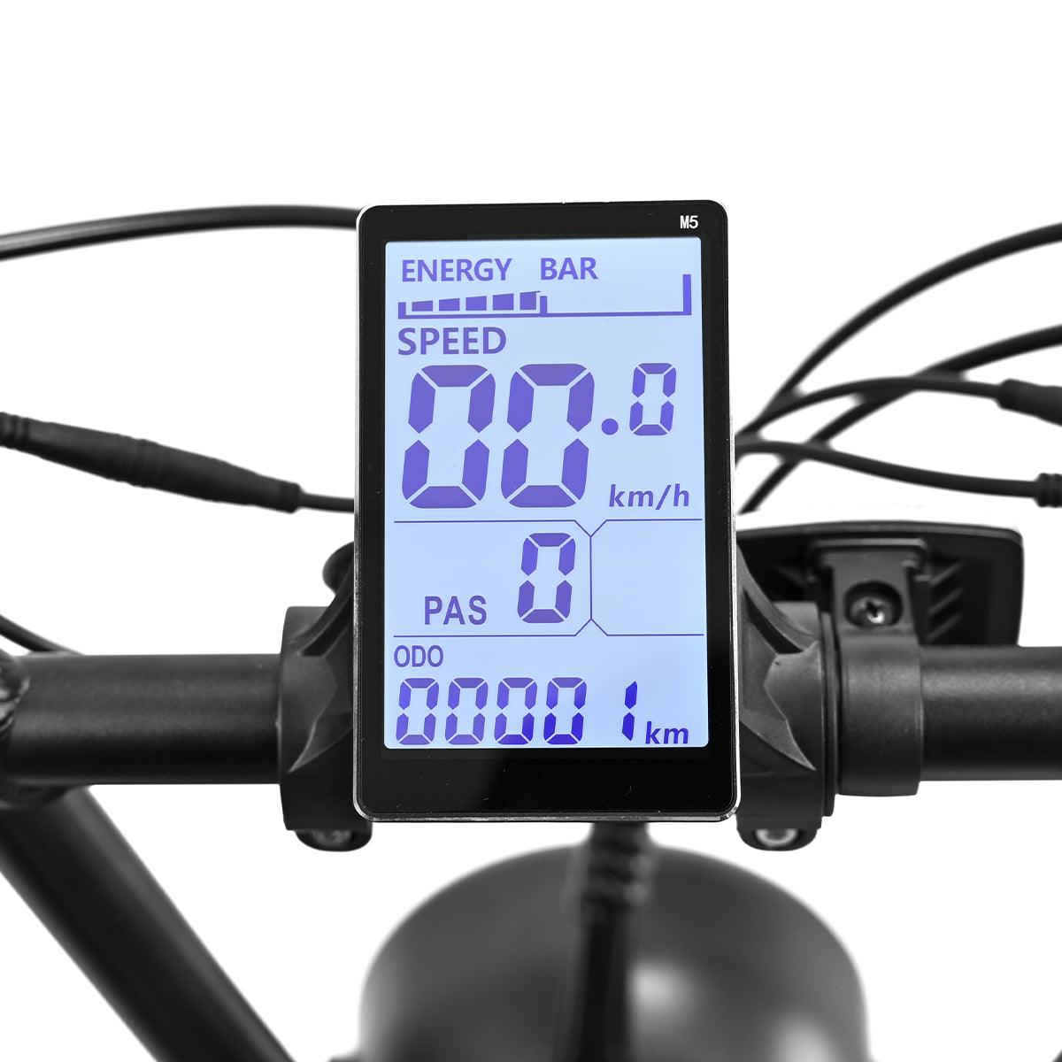 Liquid LCD screen installed on the handlebar
