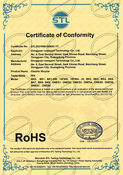 CE Certificate of Conformity