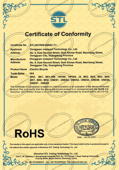 CE Certificate of Conformity