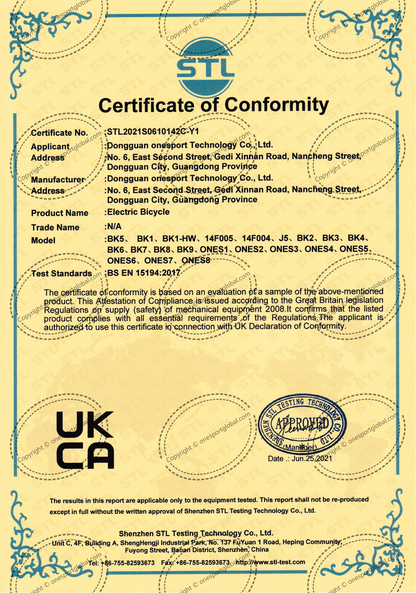 CE Certificate of Conformity