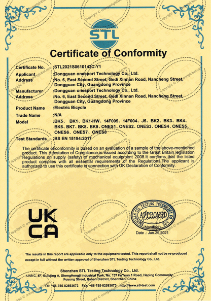 CE Certificate of Conformity